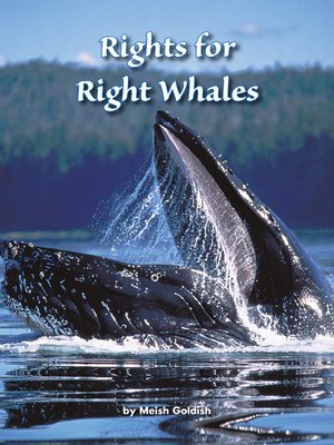 cover image of Rights for Right Whales